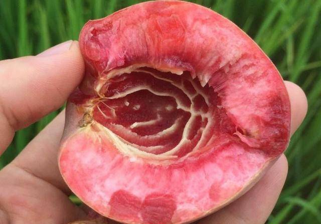夏天吃桃子不会挑？记住这3点<strong></p>
<p>桃子</strong>，保准你挑到的桃子香甜多汁不酸牙