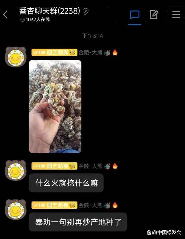 肉锥爱好者呼吁：别再炒产地种了<strong></p>
<p>炒币网</strong>！肉锥清网行动请大家共同守护“众生的地球