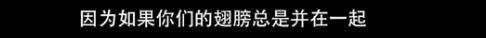 他们那么幸福恩爱<strong></p>
<p>U米</strong>，怎么突然离婚了……