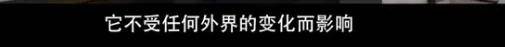 他们那么幸福恩爱<strong></p>
<p>U米</strong>，怎么突然离婚了……