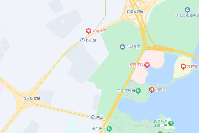 武汉多地网友称凌晨听到巨响<strong></p>
<p>瑞亚</strong>，亲历者：听着明显像从地面发出，多方回应