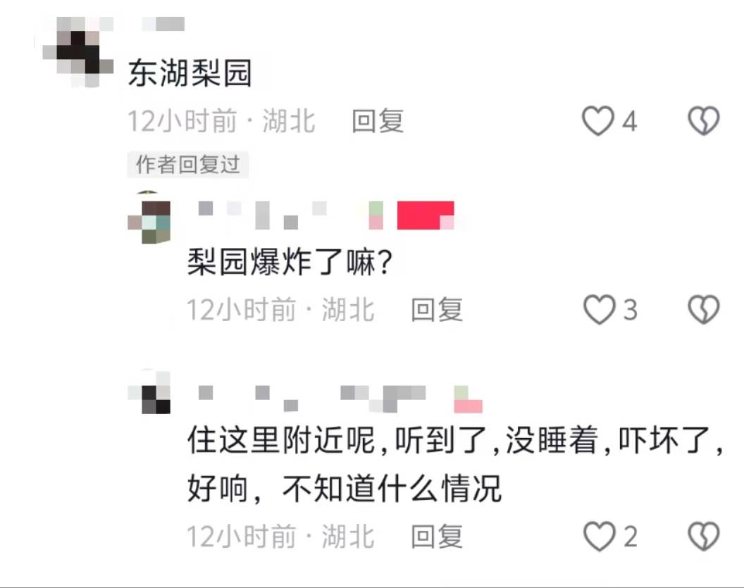 武汉多地网友称凌晨听到巨响<strong></p>
<p>瑞亚</strong>，亲历者：听着明显像从地面发出，多方回应