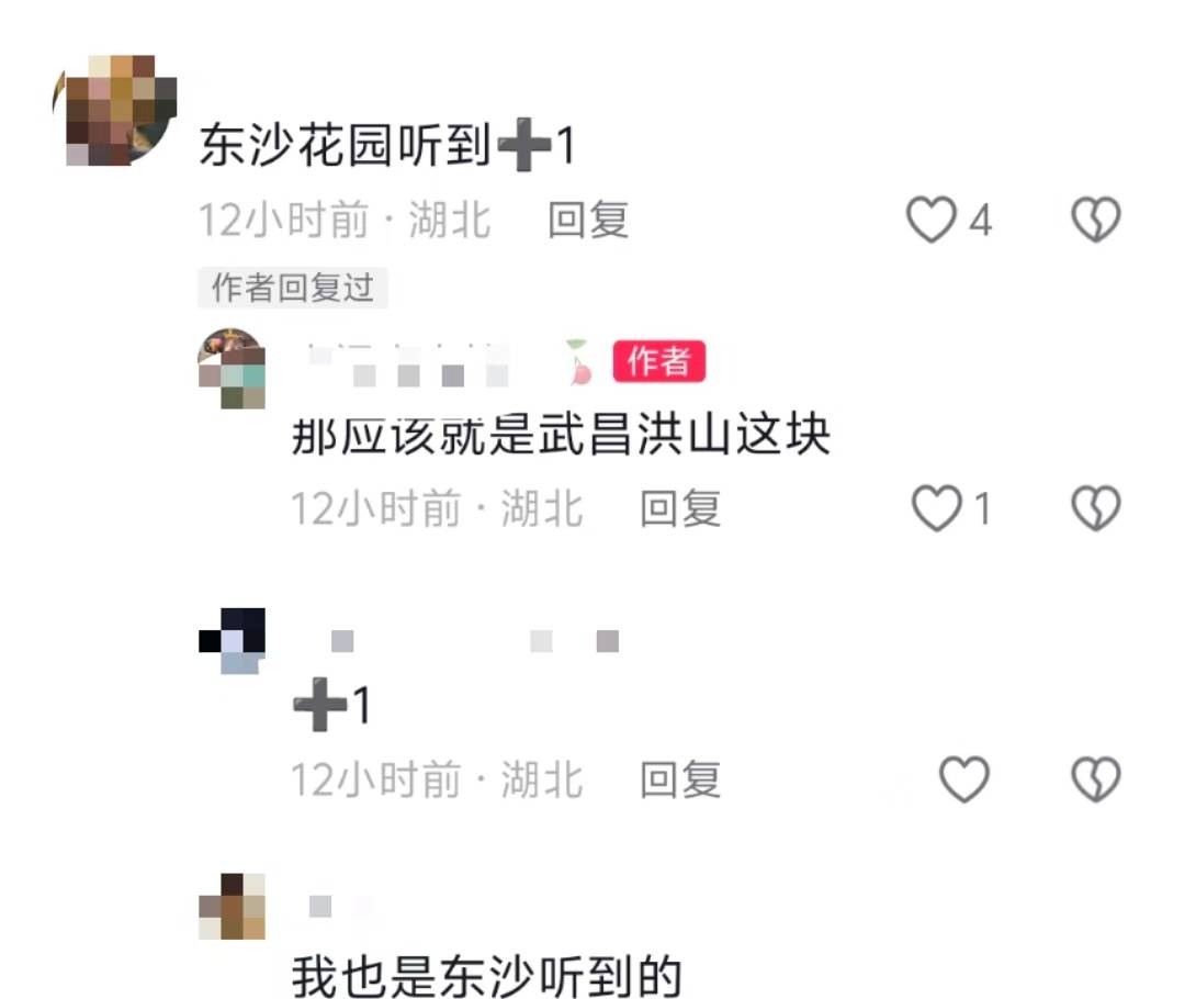 武汉多地网友称凌晨听到巨响<strong></p>
<p>瑞亚</strong>，亲历者：听着明显像从地面发出，多方回应
