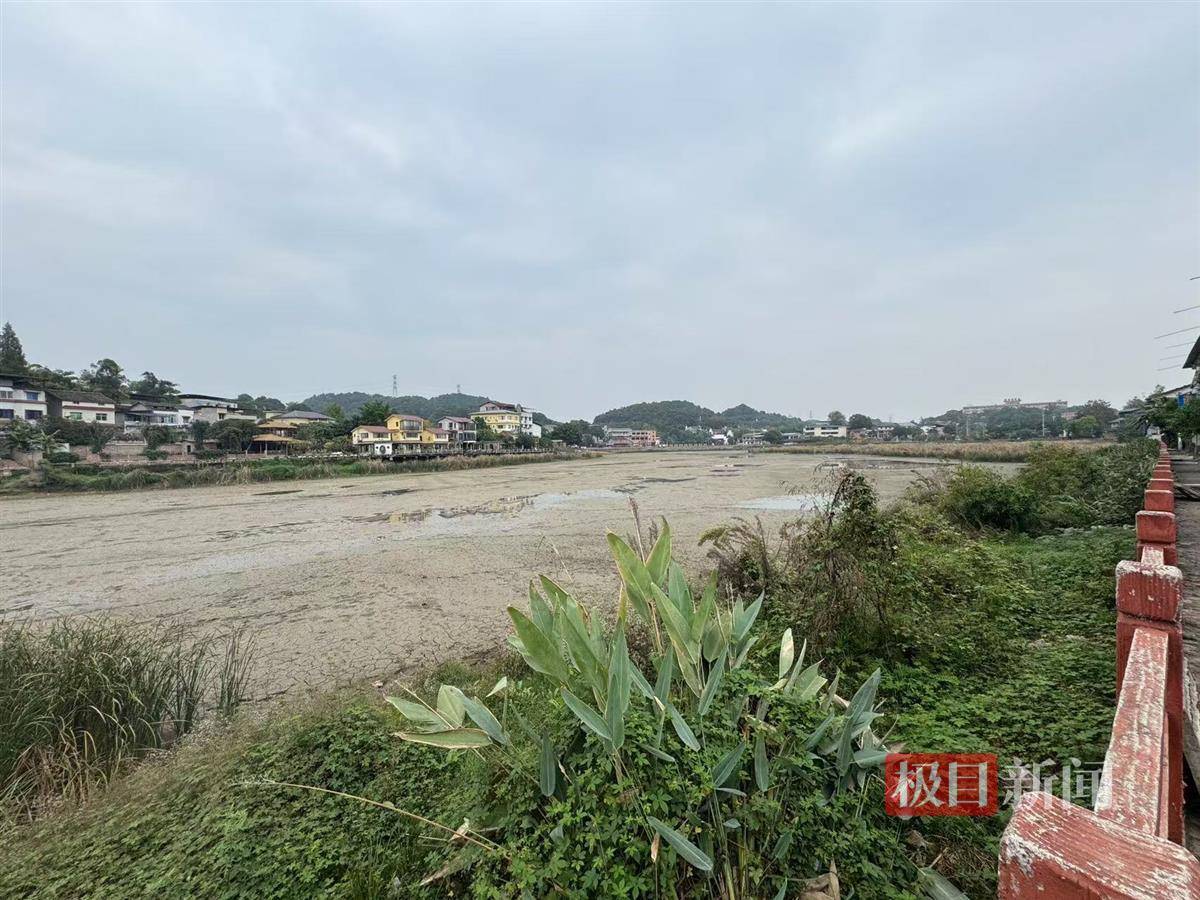 极目调查|重庆下天池水库塌坑：周边曾多次发生塌陷<strong></p>
<p>币安网</strong>，当地投入近千万对大坝除险加固