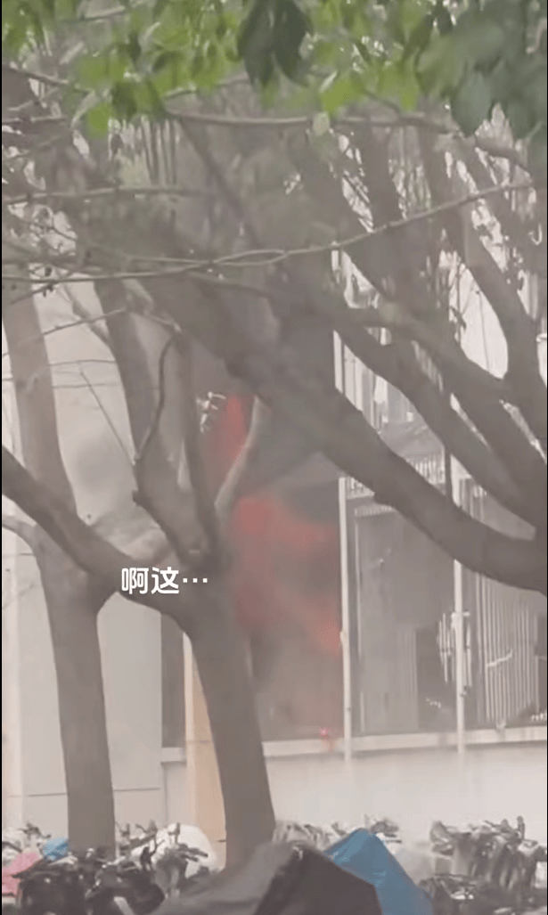 女生宿舍起火<strong></p>
<p>TREX</strong>，楼栋闸机成撤离“拦路虎”，警务室：刷脸是为保障安全