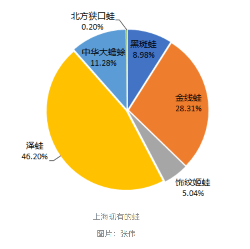 曾经遍地的“田鸡”十几年看不到一只<strong></p>
<p>TuxExchange</strong>，国家二级保护动物正拼命回归