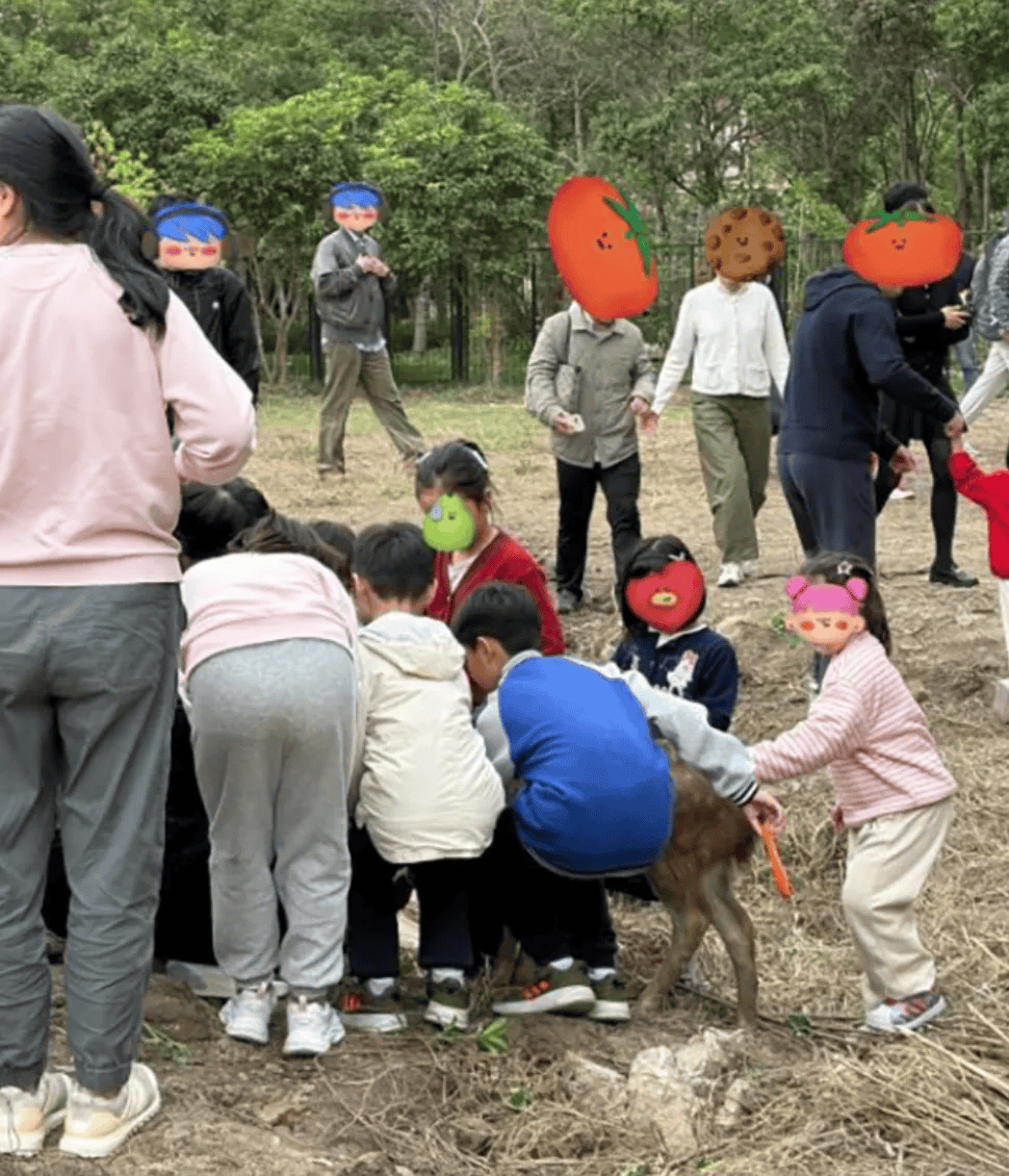 突发公告！上海交大紧急叫停<strong></p>
<p>TuxExchange</strong>，数百人来围观，工作人员无奈：劝都劝不住