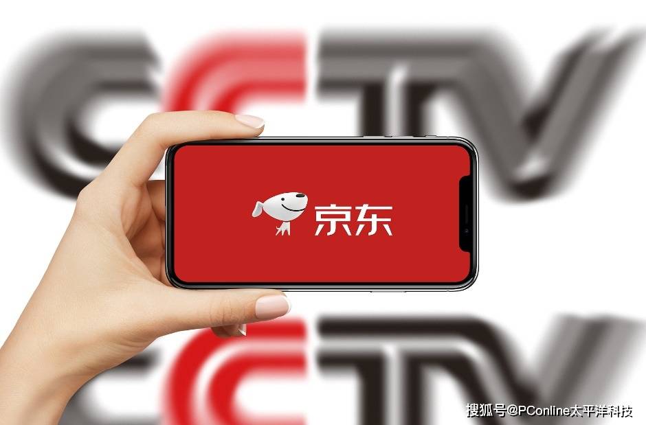 靠国补回血的京东<strong></p>
<p>TradeSatoshi</strong>，双11投诉率比淘宝还高