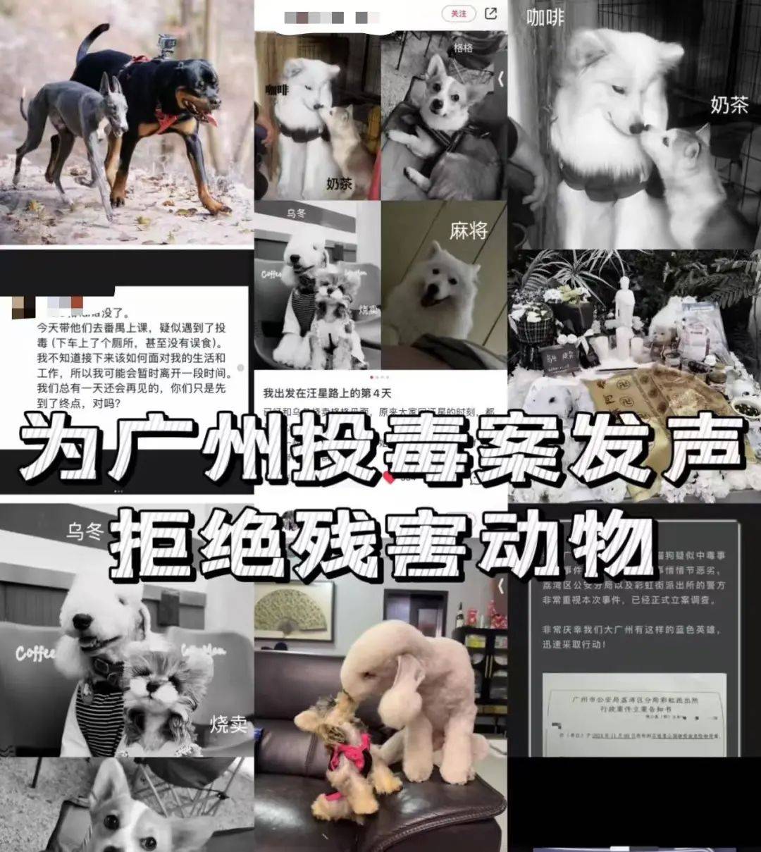 “死亡数据仍在上升”<strong></p>
<p>Bittylicious</strong>！广州警方介入