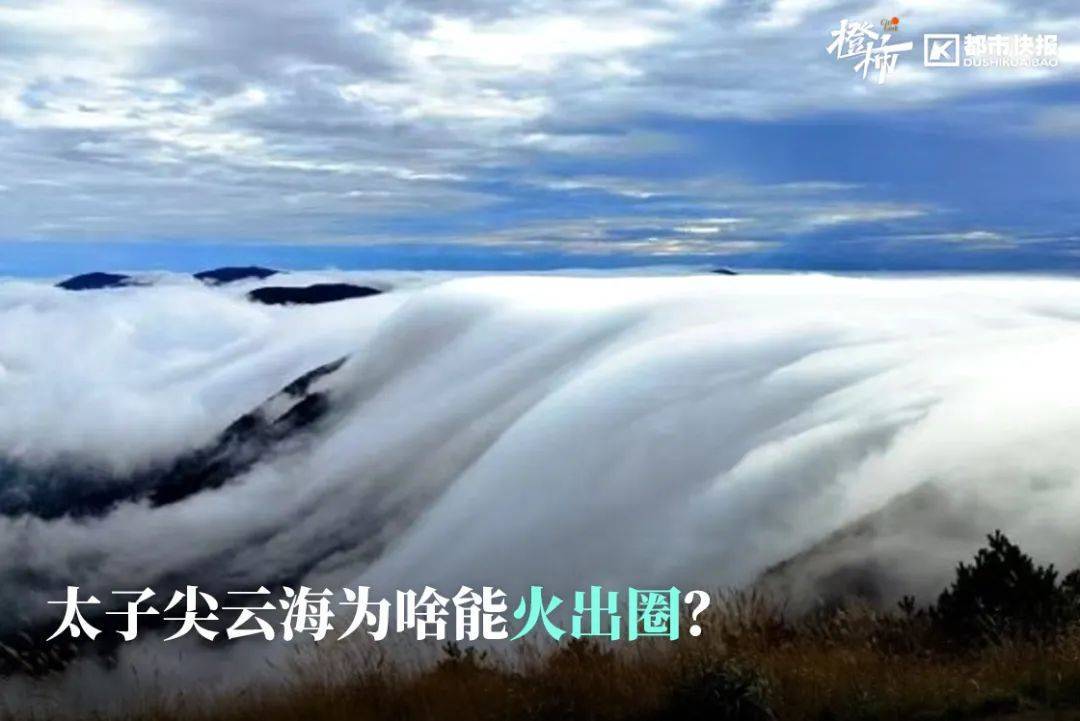 “来都来了<strong></p>
<p>TRXMarket</strong>，那就查一个吧”，浙江男子意外查出癌