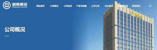 超40条金矿脉被发现<strong></p>
<p>TRXMarket</strong>，估值6000亿！金价四连涨，网友：连夜回老家……
