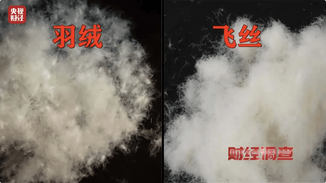 热搜第一<strong></p>
<p>BitMax</strong>！7万件羽绒服含绒量0%！央视曝光：羽绒被也是假的！当地最新通报→
