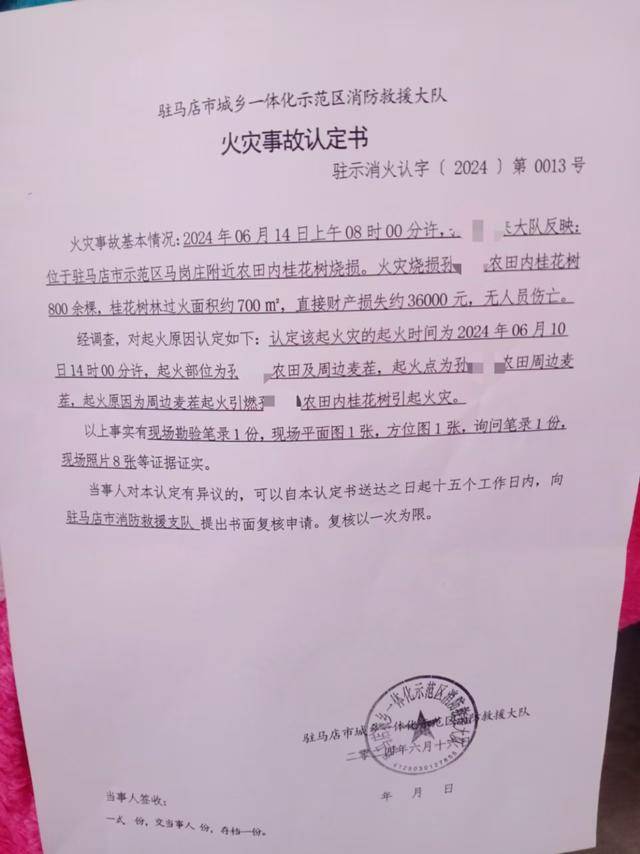 群众近千棵桂花树被烧死<strong></p>
<p>GEMINI</strong>，为何不立案？驻马店回应