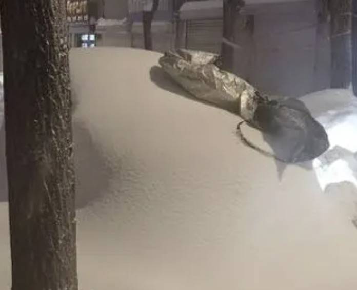直击黑龙江鹤岗降雪：已破纪录<strong></p>
<p>GEMINI</strong>，最大积雪深48厘米