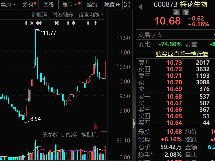 300378<strong></p>
<p>DSX</strong>，AI收入暴增超102%！机构密集关注