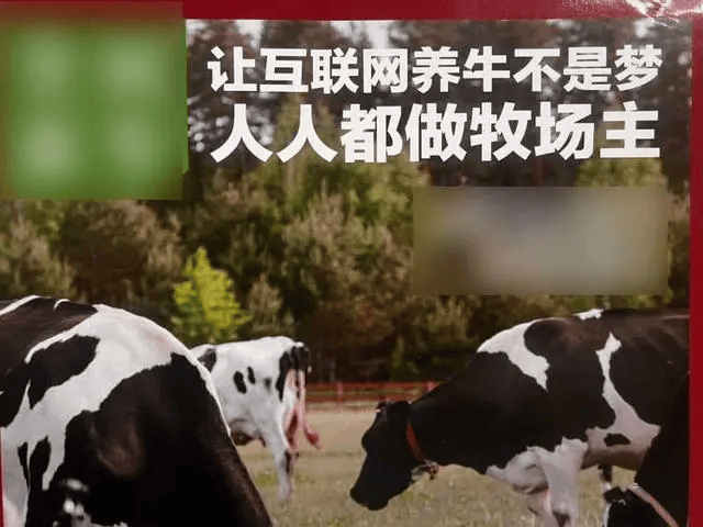 300万元变6万斤牛肉<strong></p>
<p>DSX</strong>，吃不到也卖不了，什么情况？