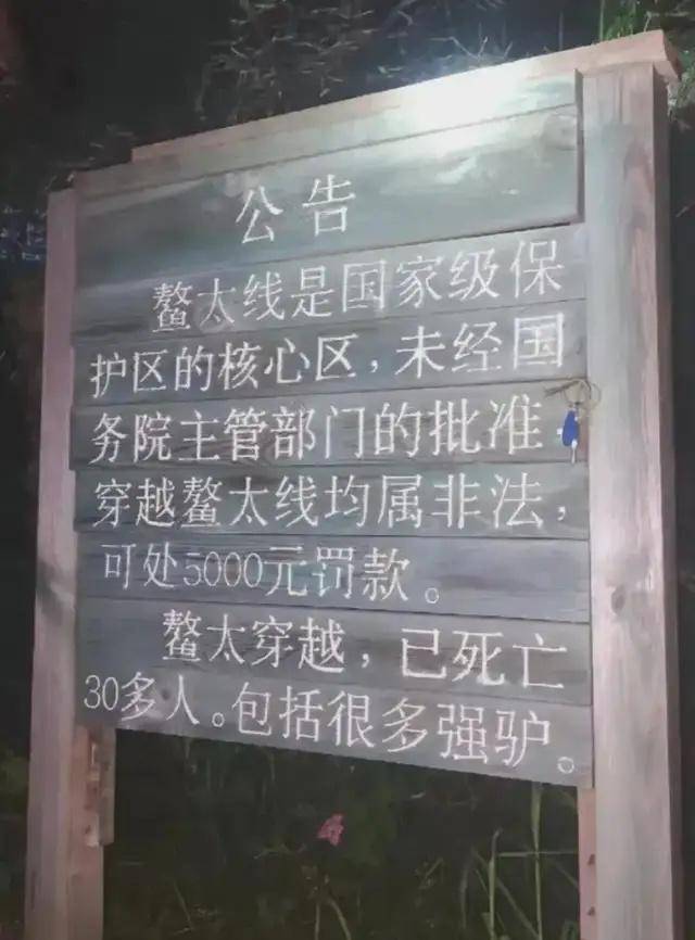 鳌太线发现尸体的博主或被罚款5000元<strong></p>
<p>BitC</strong>，本人回应：认罚并道歉