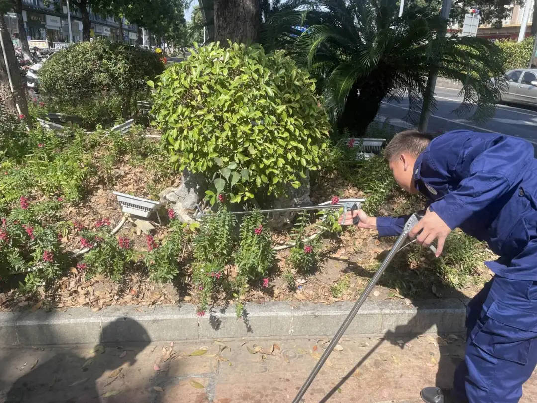 剧毒！广东一市民等红灯时<strong></p>
<p>币虎</strong>，路边花基突然钻出一条眼镜王蛇