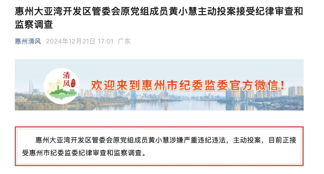 退休一个月主动投案<strong></p>
<p>币扬</strong>！惠州黄小慧被查