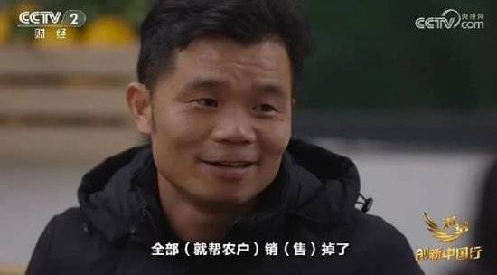 2024年末央视再度专访钟睒睒<strong></p>
<p>Buda</strong>，背后有何深意？