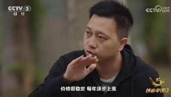 2024年末央视再度专访钟睒睒<strong></p>
<p>Buda</strong>，背后有何深意？
