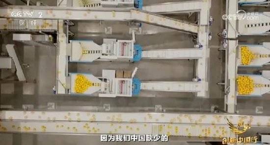 2024年末央视再度专访钟睒睒<strong></p>
<p>Buda</strong>，背后有何深意？