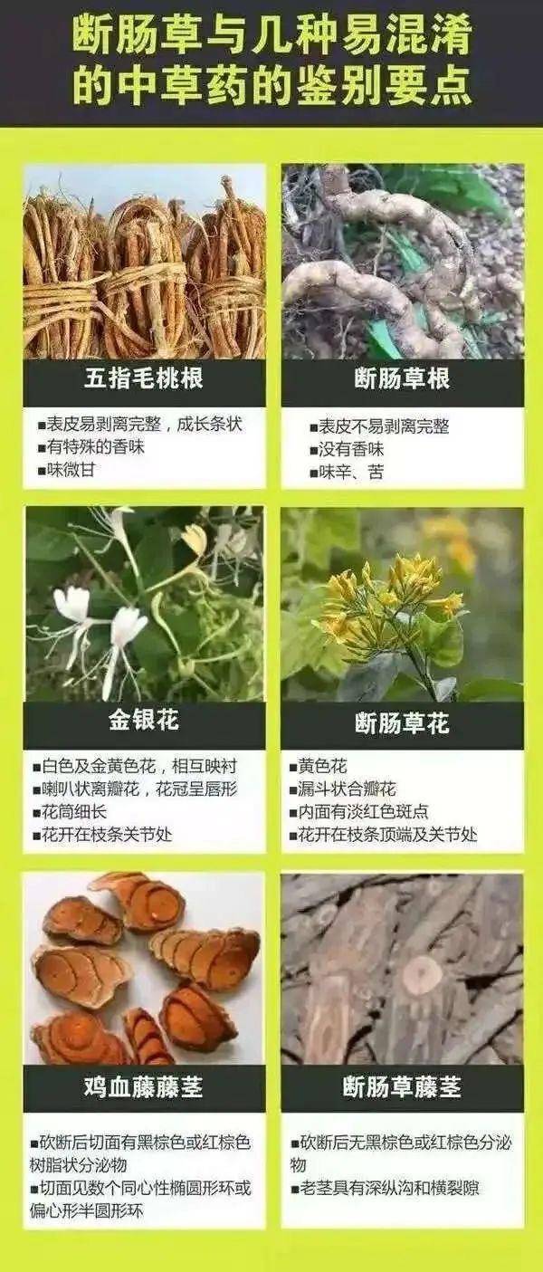 广东一老人买药材煲汤中毒身亡 当地：店铺误售断肠草<strong></p>
<p>UBitMEX</strong>，老板被拘留
