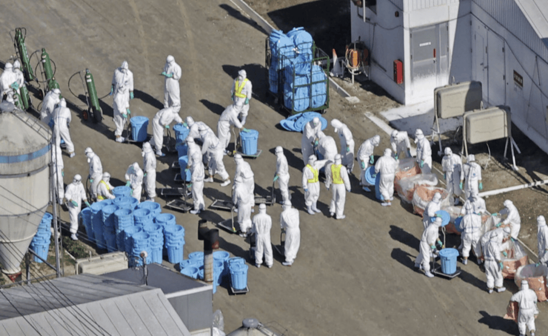 大S真实死因有变<strong></p>
<p>BBC</strong>？为何没住院？相关人士：日本大医院并非患者想去就去