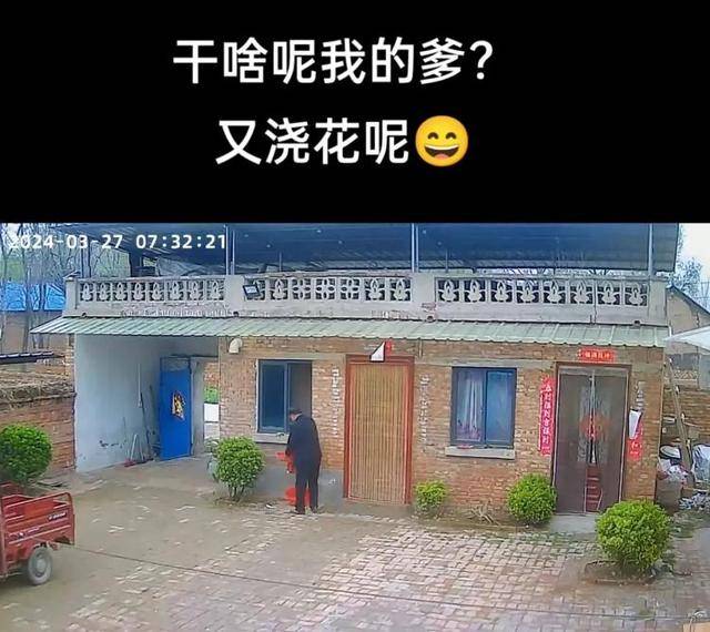 “原来年兽是我自己”<strong></p>
<p>BBC</strong>，监控记录下中国人过年的聚散：像做了一场热闹的梦