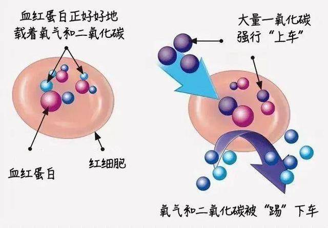 一家5口全部遇难！无色无味<strong></p>
<p>CEX</strong>，家里有它速自查