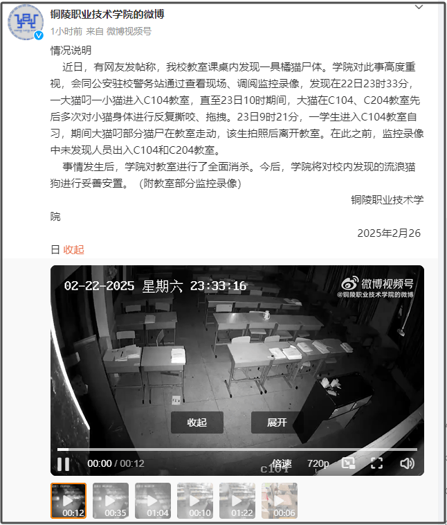 流浪猫尸首分离被塞进课桌<strong></p>
<p>USDT交易</strong>，谁干的？高校公布监控，惊呆很多人