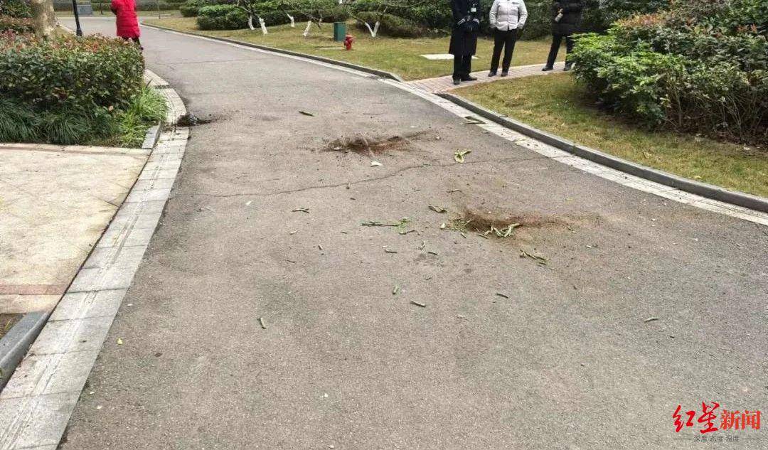 女子与男友吵架后从8楼扔下3个花盆险砸中路人<strong></p>
<p>瑞波币交易</strong>，被判拘役并处罚金