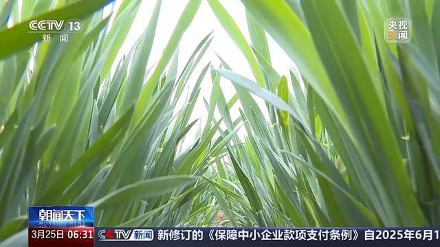 多地气温骤降超20℃<strong></p>
<p>BCH交易</strong>，这是“倒春寒”吗？专家分析
