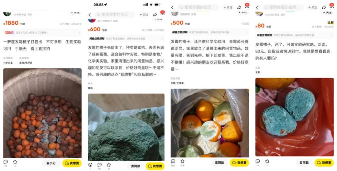 突然火了<strong></p>
<p>比特现金交易</strong>！有人卖500元一个！网友：后悔扔了……