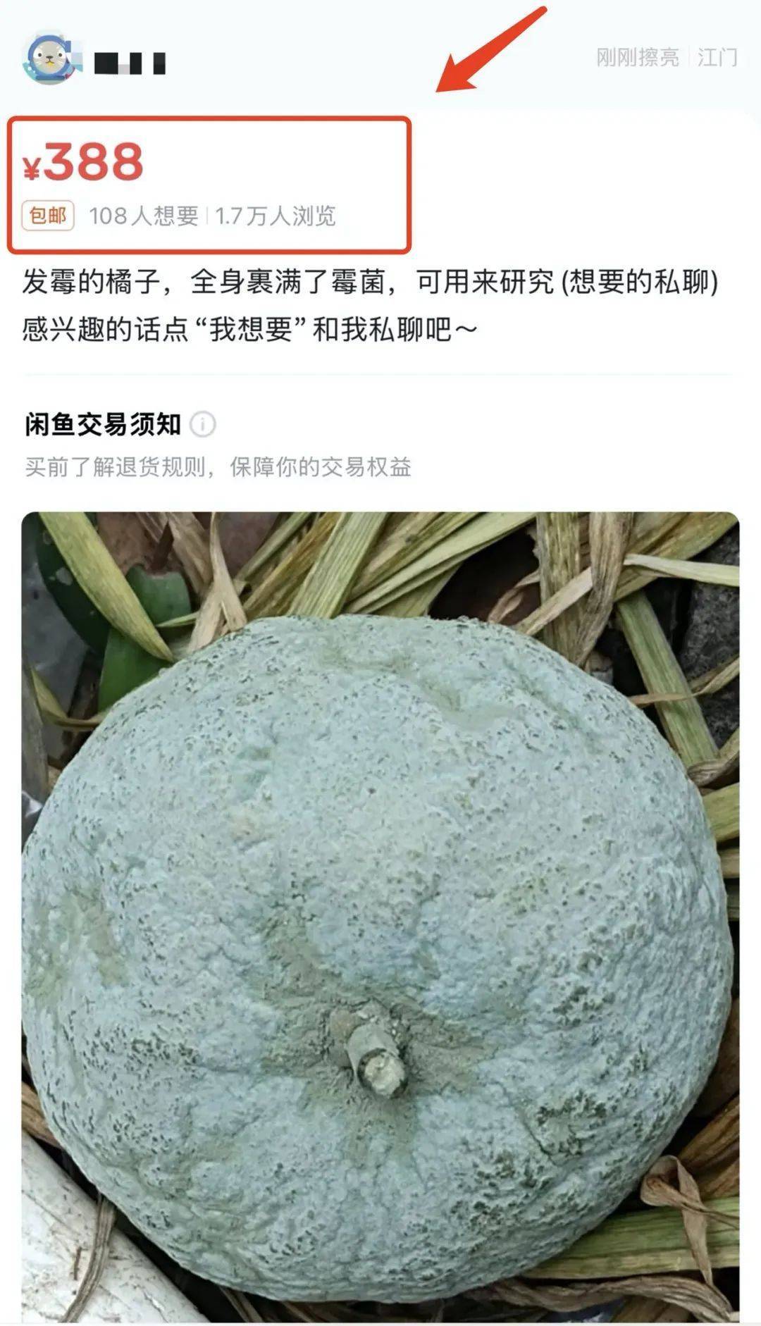 突然火了<strong></p>
<p>比特现金交易</strong>！有人卖500元一个！网友：后悔扔了……