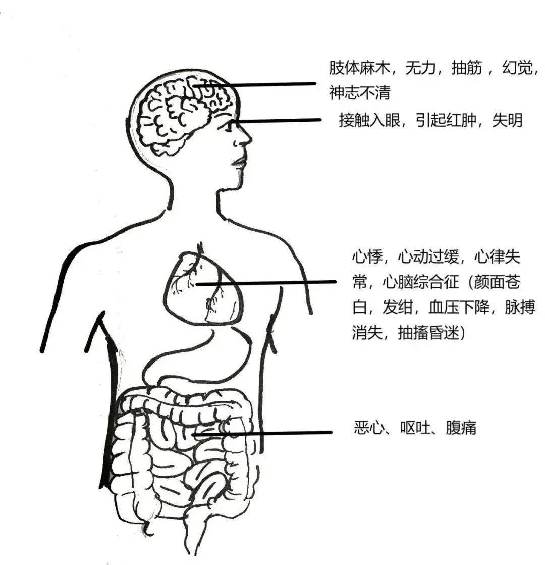 不要吃<strong></p>
<p>比特现金交易</strong>！含剧毒！无解药！已有人因此身亡…