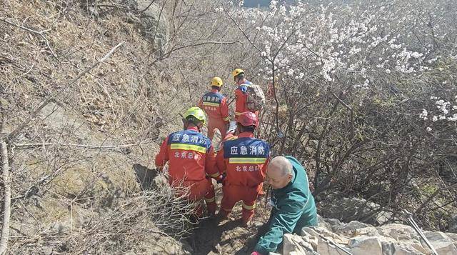 北京几名驴友相约爬山<strong></p>
<p>LTC交易</strong>，六旬阿姨被巨石砸中！消防出动救援