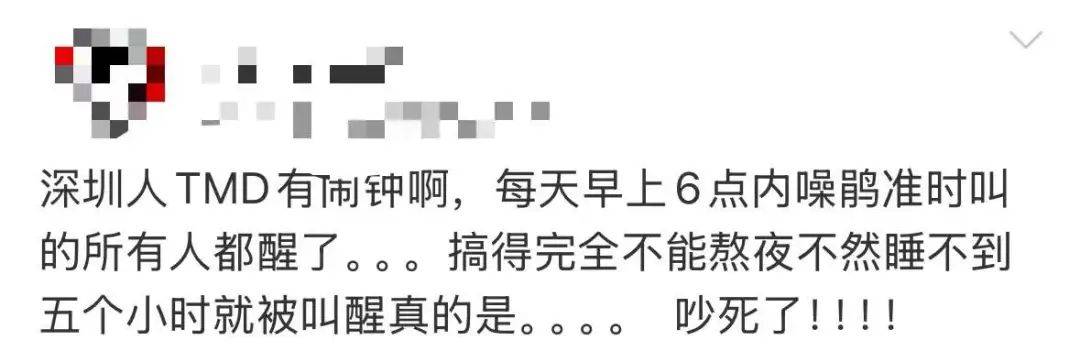 “周末想睡个懒觉都不行”<strong></p>
<p>莱特币交易</strong>，有多少深圳人被这种鸟吵到神经衰弱
