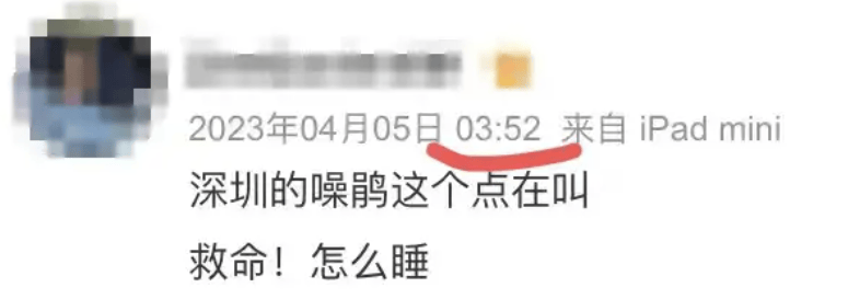 “周末想睡个懒觉都不行”<strong></p>
<p>莱特币交易</strong>，有多少深圳人被这种鸟吵到神经衰弱