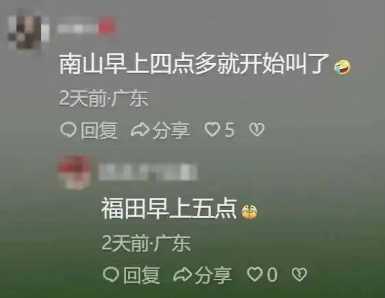 “周末想睡个懒觉都不行”<strong></p>
<p>莱特币交易</strong>，有多少深圳人被这种鸟吵到神经衰弱