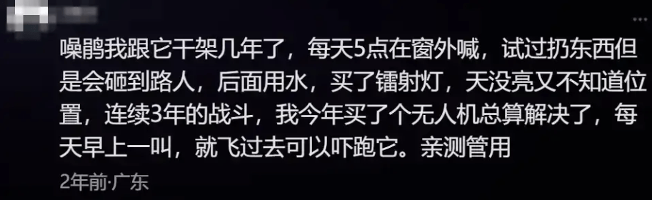 “周末想睡个懒觉都不行”<strong></p>
<p>莱特币交易</strong>，有多少深圳人被这种鸟吵到神经衰弱