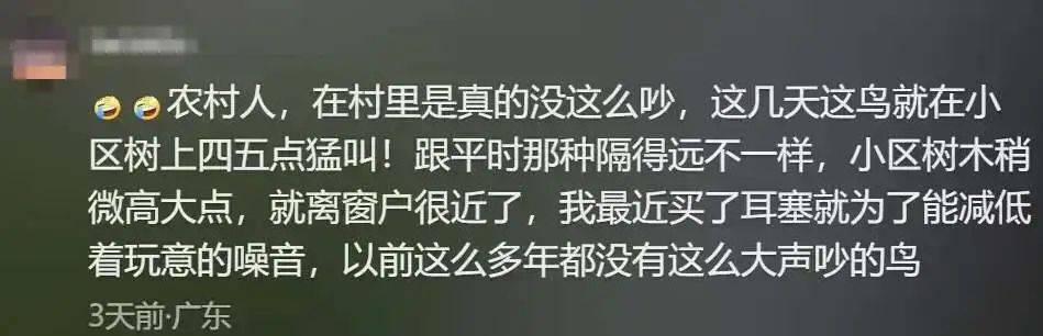 “周末想睡个懒觉都不行”<strong></p>
<p>莱特币交易</strong>，有多少深圳人被这种鸟吵到神经衰弱