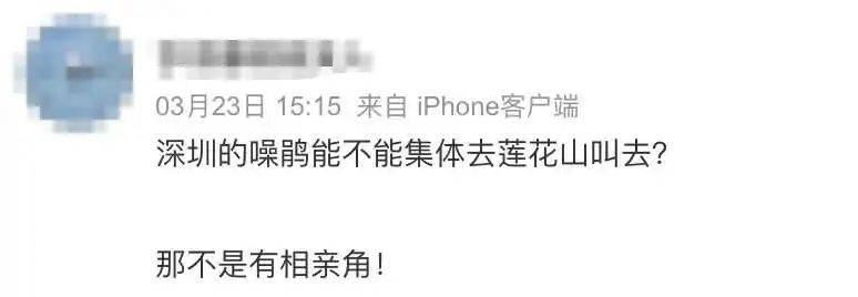 “周末想睡个懒觉都不行”<strong></p>
<p>莱特币交易</strong>，有多少深圳人被这种鸟吵到神经衰弱