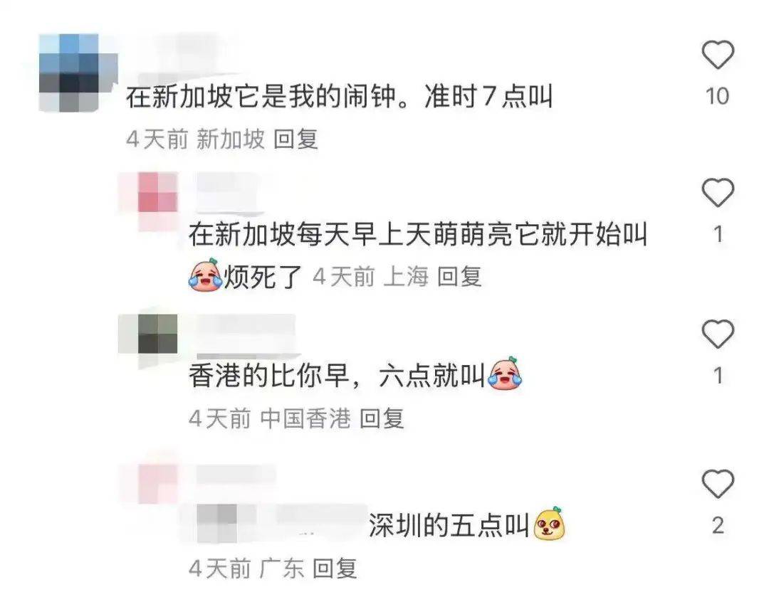 “周末想睡个懒觉都不行”<strong></p>
<p>莱特币交易</strong>，有多少深圳人被这种鸟吵到神经衰弱