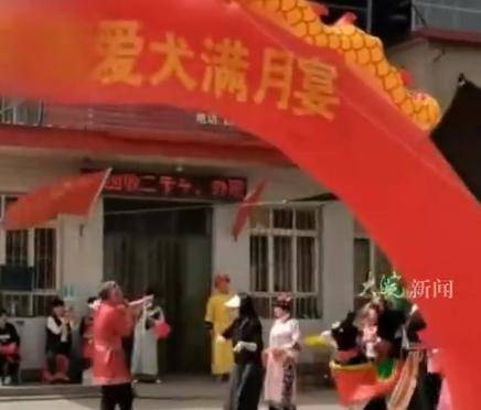 河北一店铺给狗办满月宴引争议<strong></p>
<p>区块链挖矿交易</strong>，当事人：不是炒作，只是爱狗