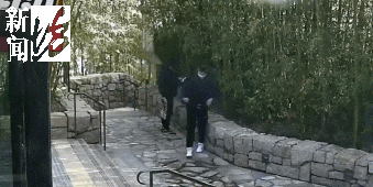 太猖狂！事发上海迪士尼<strong></p>
<p>IPFS交易</strong>，7人被刑拘