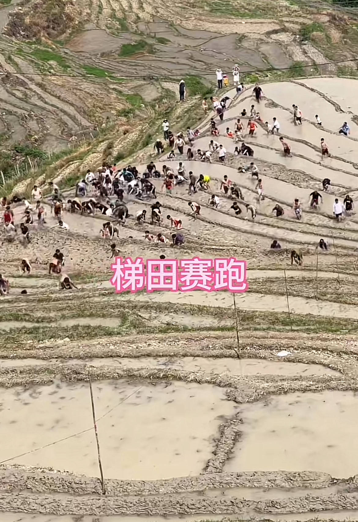 桂林一景区回应爬梯田比赛前两名半坡起跑作弊：游客赛前试爬后躺半坡<strong></p>
<p>BTC交易所</strong>，工作人员没发现