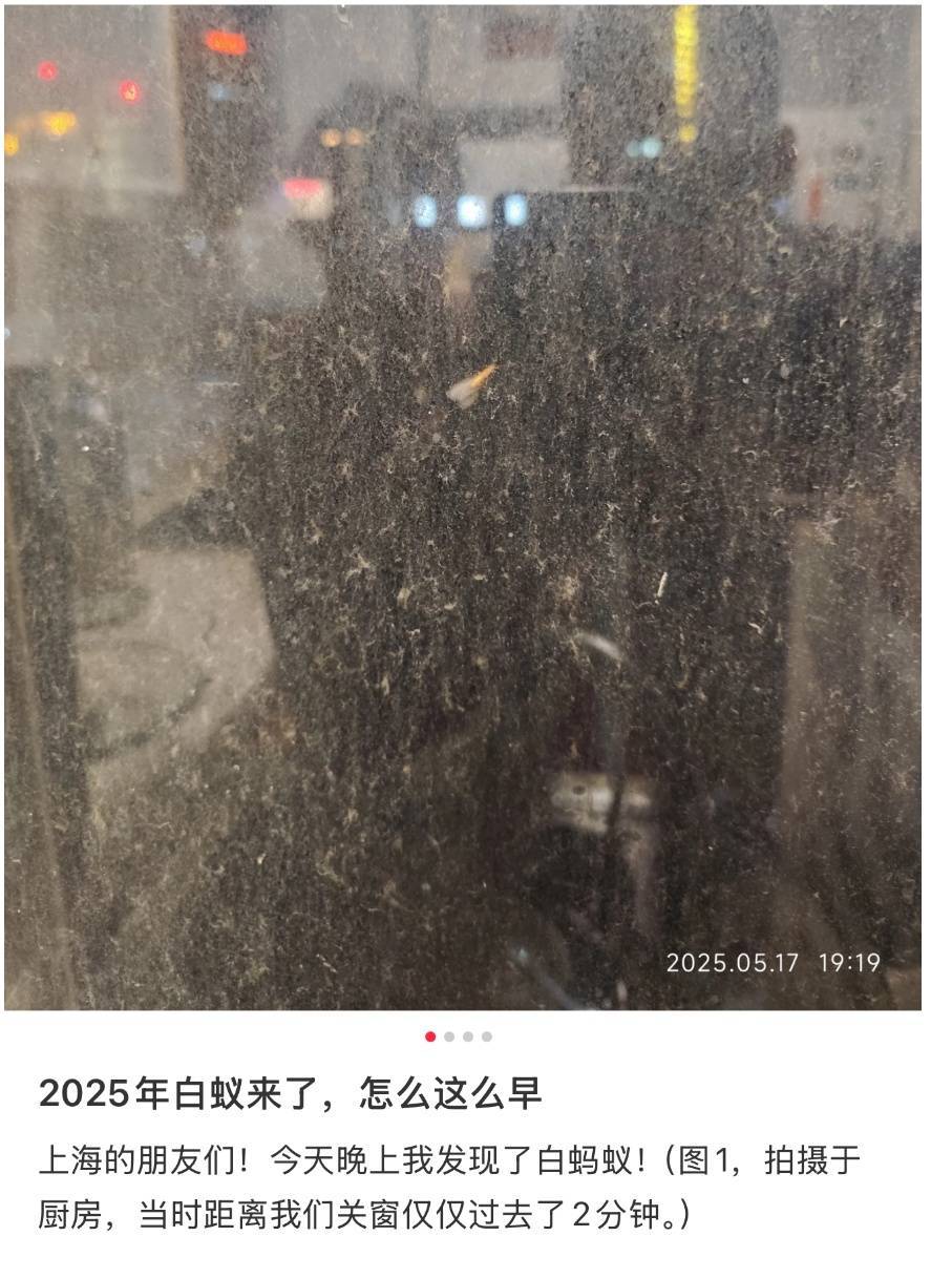 紧急提醒：瞬间爆发！上海市民崩溃：密密麻麻<strong></p>
<p>XRP交易所</strong>，蠕蠕爬行...“梧桐区”已开始战斗，白蚁或提前分飞