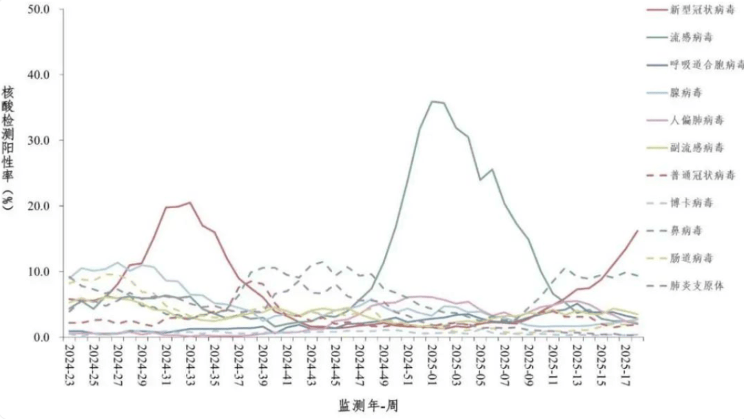 新冠阳性率升高<strong></p>
<p>XRP交易所</strong>，专家研判：预计5月下旬达峰