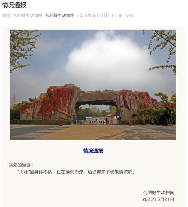 网红猴“大壮”突然离世<strong></p>
<p>波卡币交易所</strong>！曾因方脸“丑”出圈